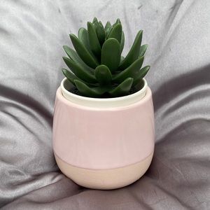 Fake Cactus in Ceramic Vase